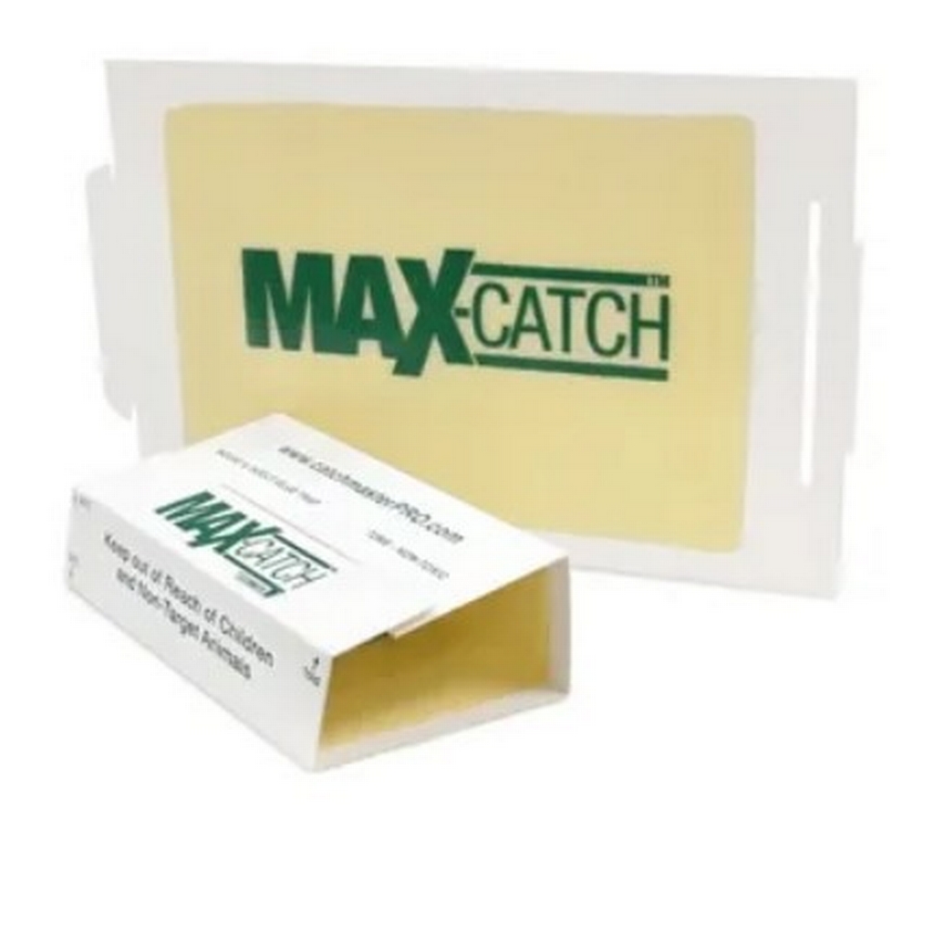 Pièges collants Max-Catch 72MAX peanut (boite 72)